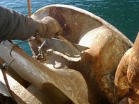 Inspection of mooring system components