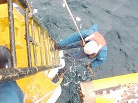 Sable Offshore Egress Ladder Repair